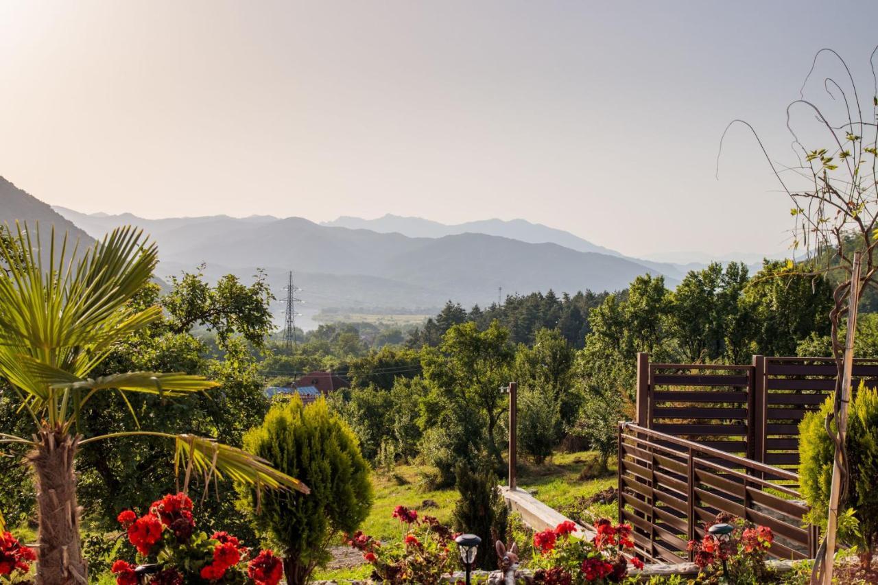 Agropensiunea Andrei & Ianis Guest house